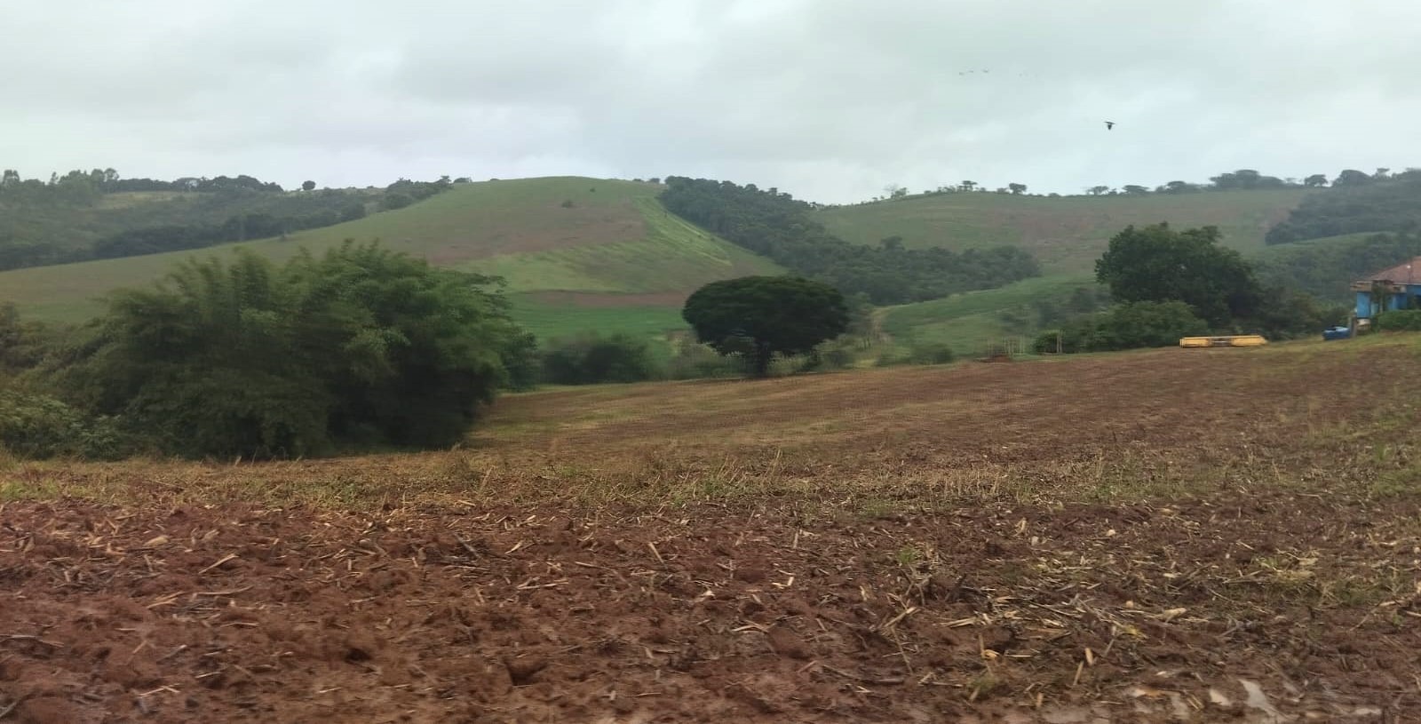 Chácara, 3 quartos, 315 hectares - Foto 25