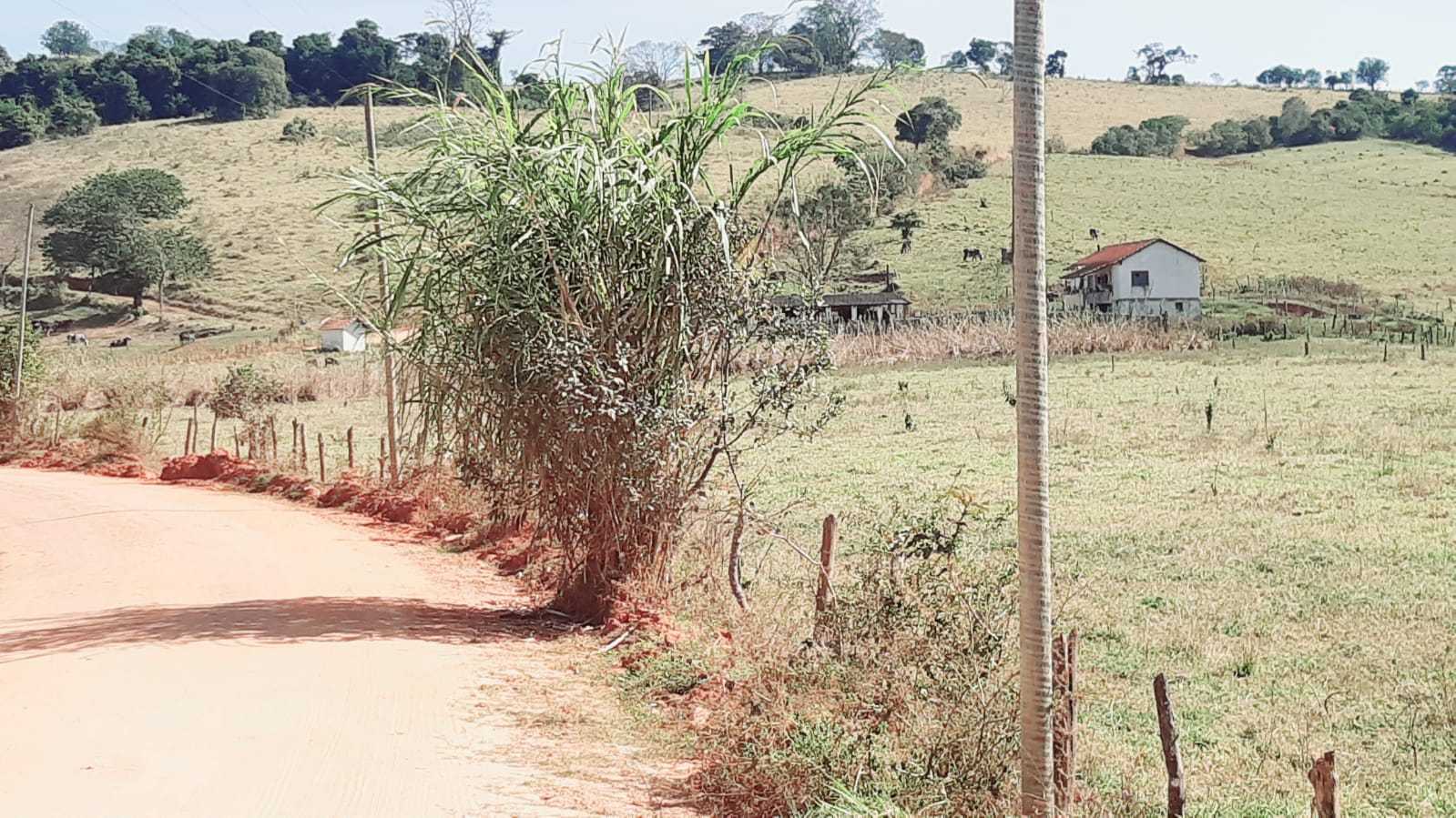 Sítio, 2 quartos, 56 hectares - Foto 18