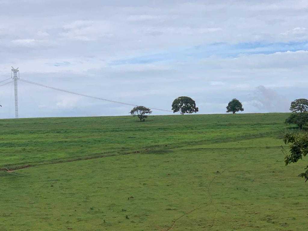 Fazenda, 318 hectares - Foto 13