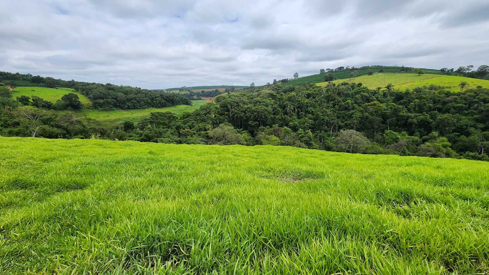 Fazenda, 73 hectares - Foto 10