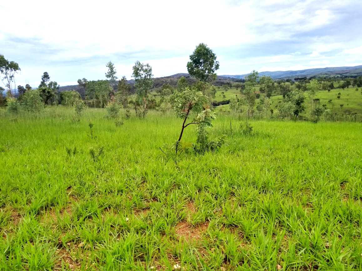 Fazenda, 162 hectares - Foto 18