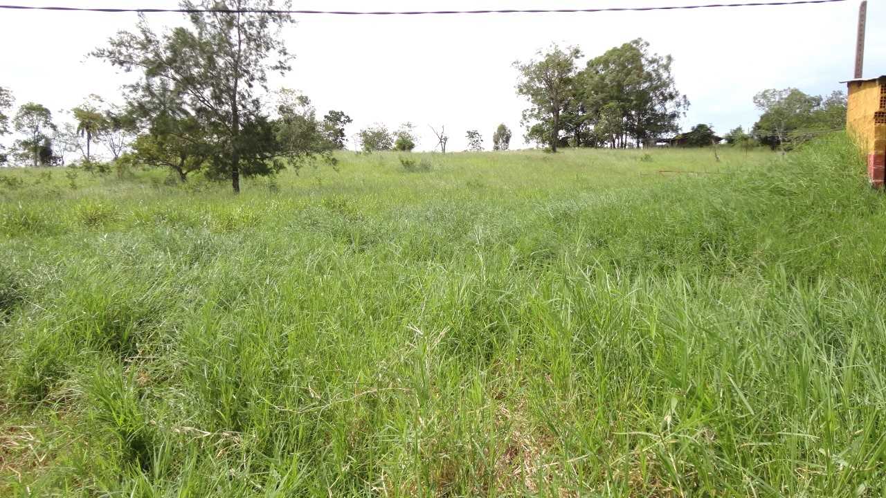 Fazenda, 162 hectares - Foto 8