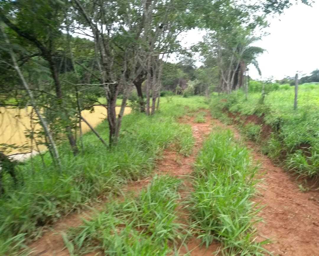 Fazenda, 162 hectares - Foto 14