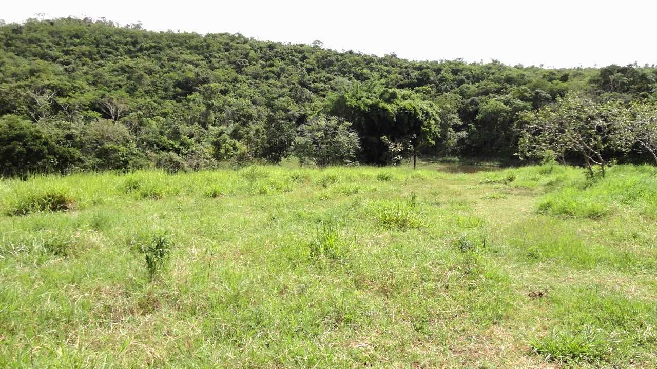 Fazenda, 162 hectares - Foto 7