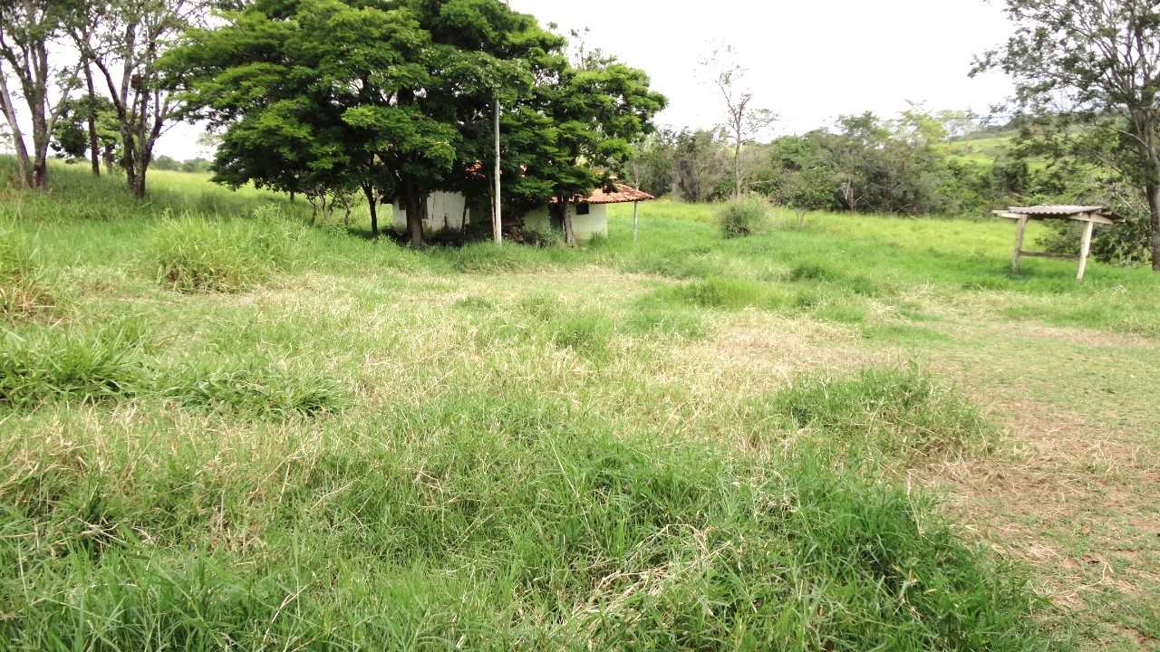 Fazenda, 162 hectares - Foto 9