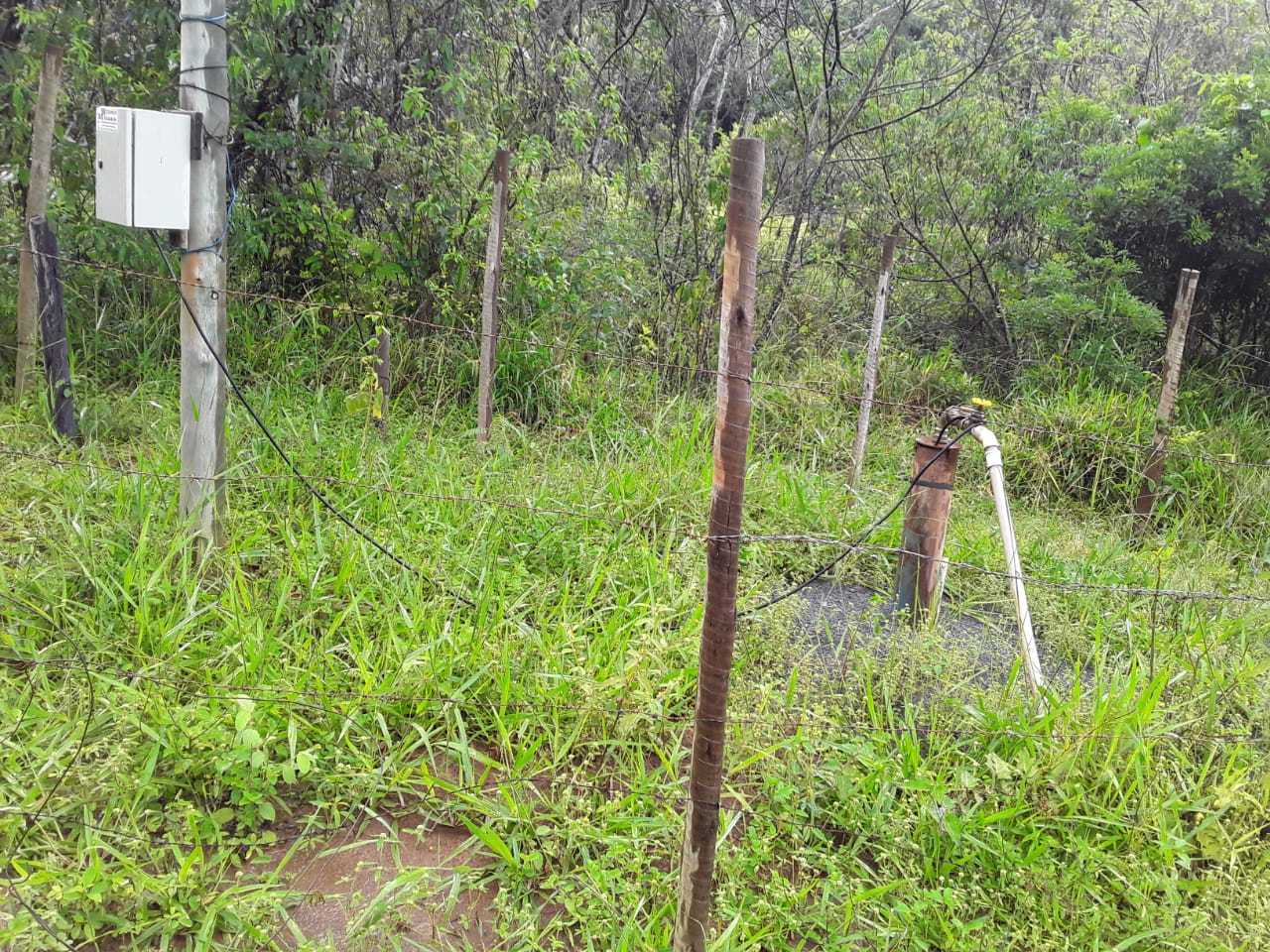 Fazenda, 162 hectares - Foto 6