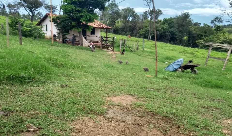 Fazenda, 162 hectares - Foto 16