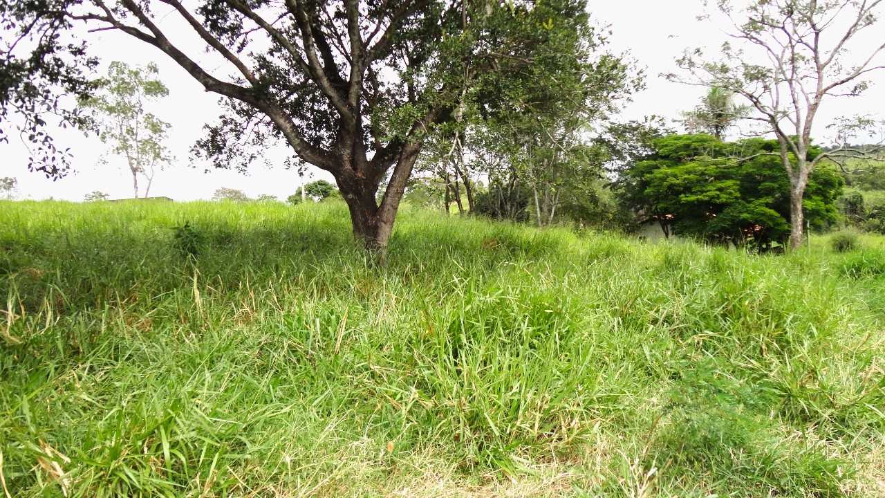 Fazenda, 162 hectares - Foto 1