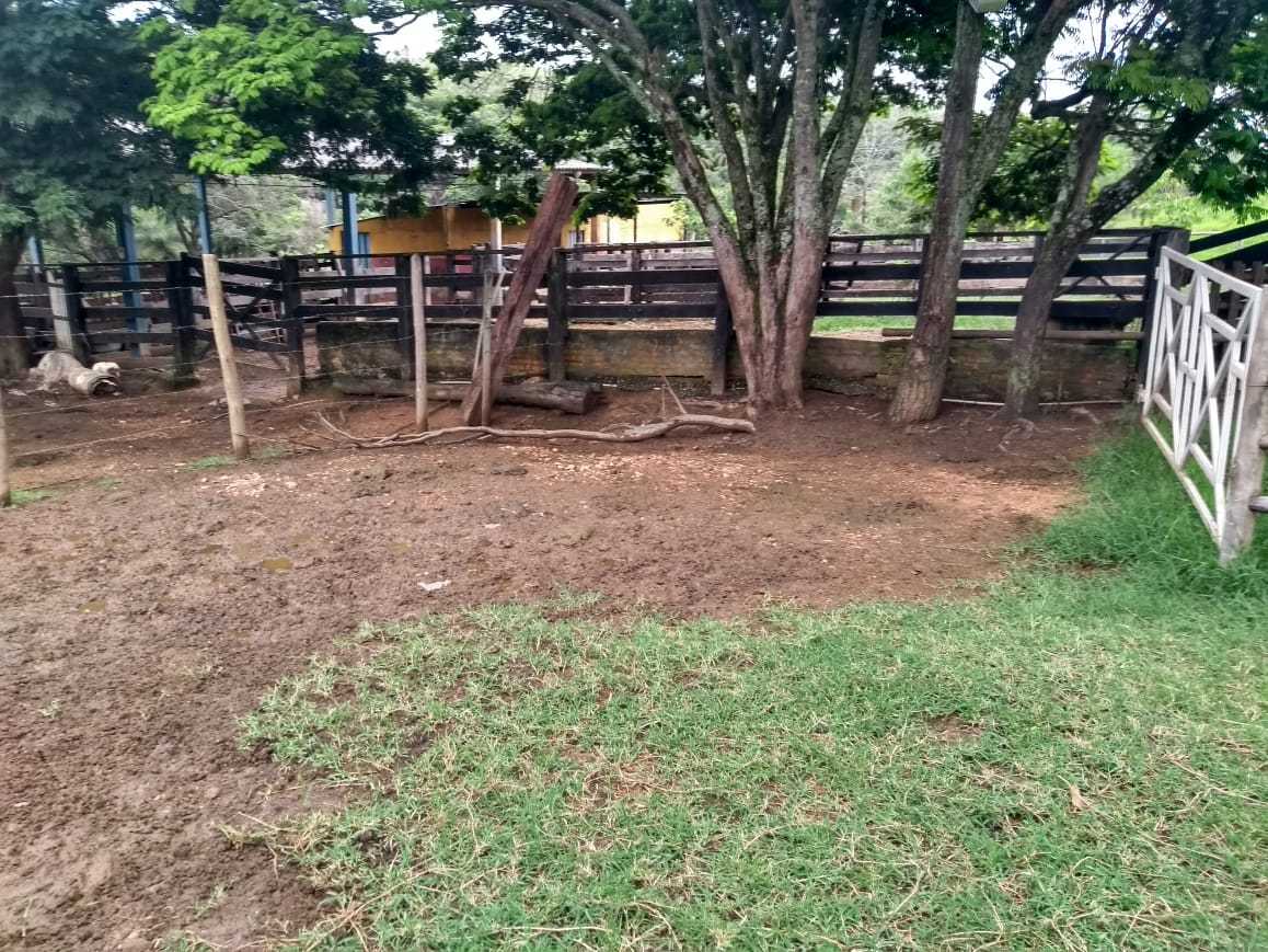 Fazenda, 162 hectares - Foto 17