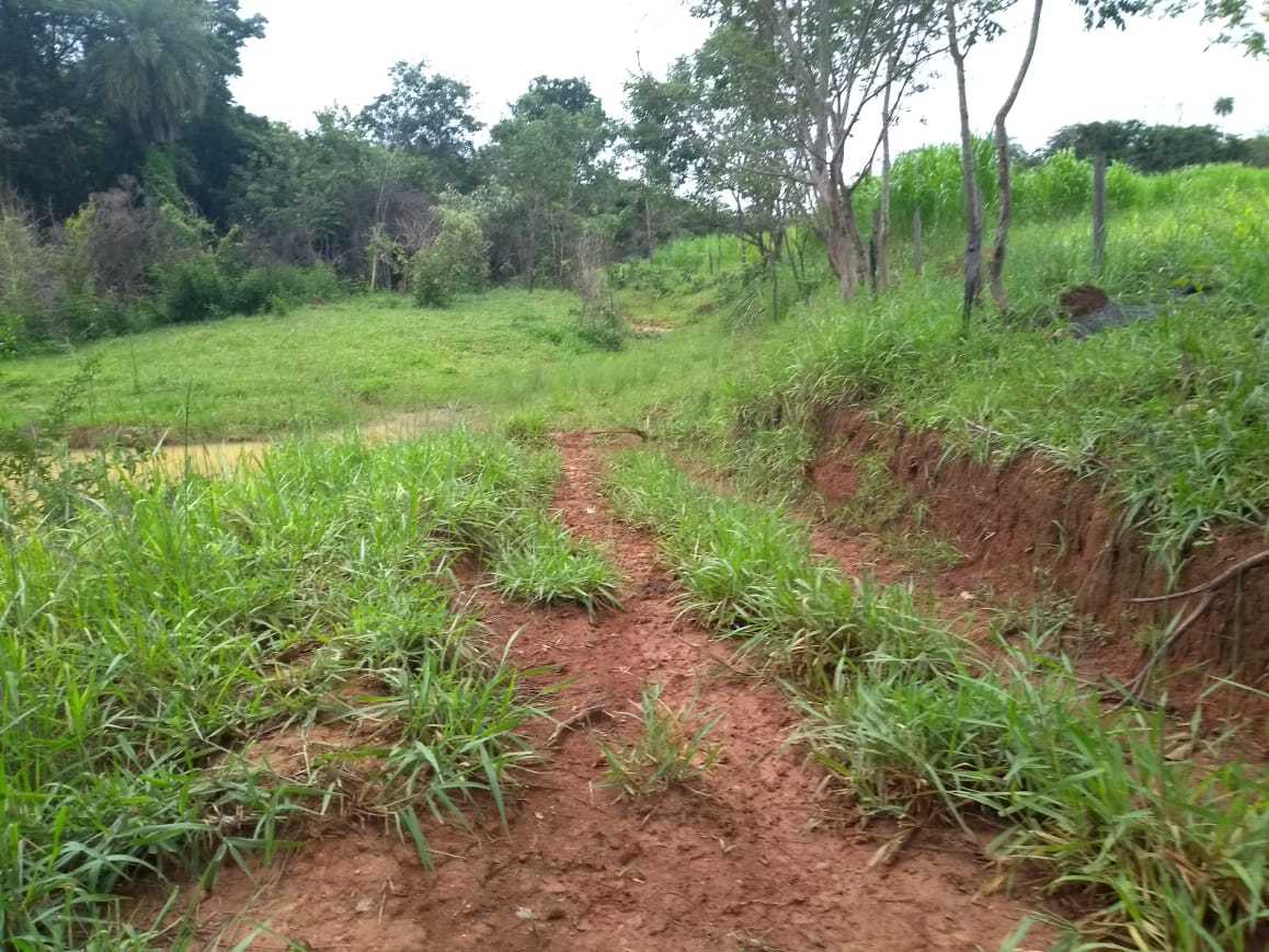 Fazenda, 162 hectares - Foto 13