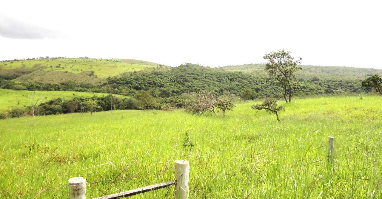 Fazenda, 162 hectares - Foto 5