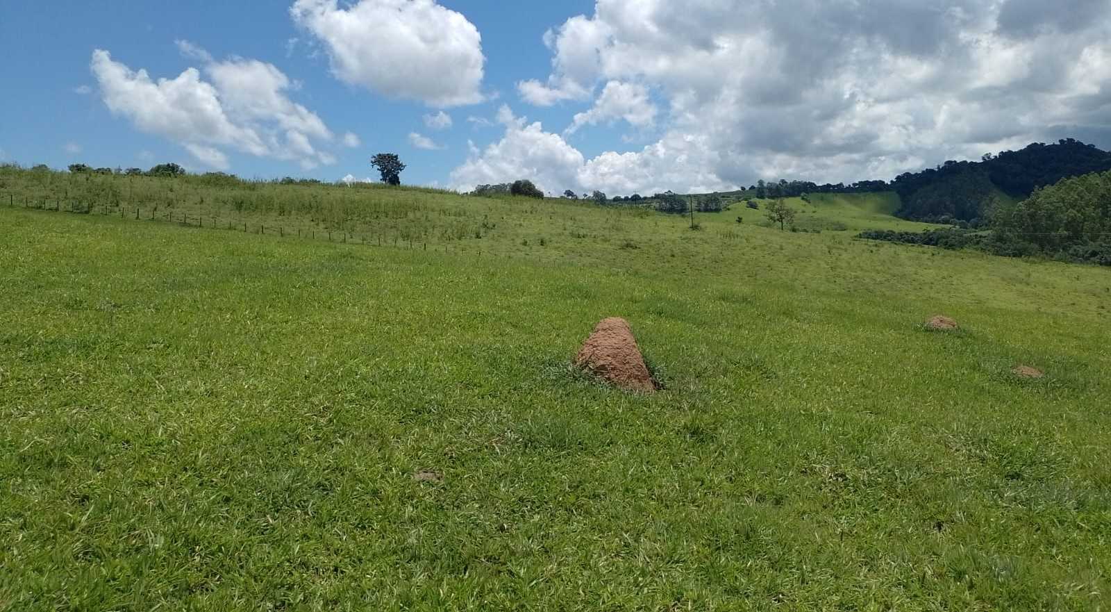 Fazenda, 170 hectares - Foto 18