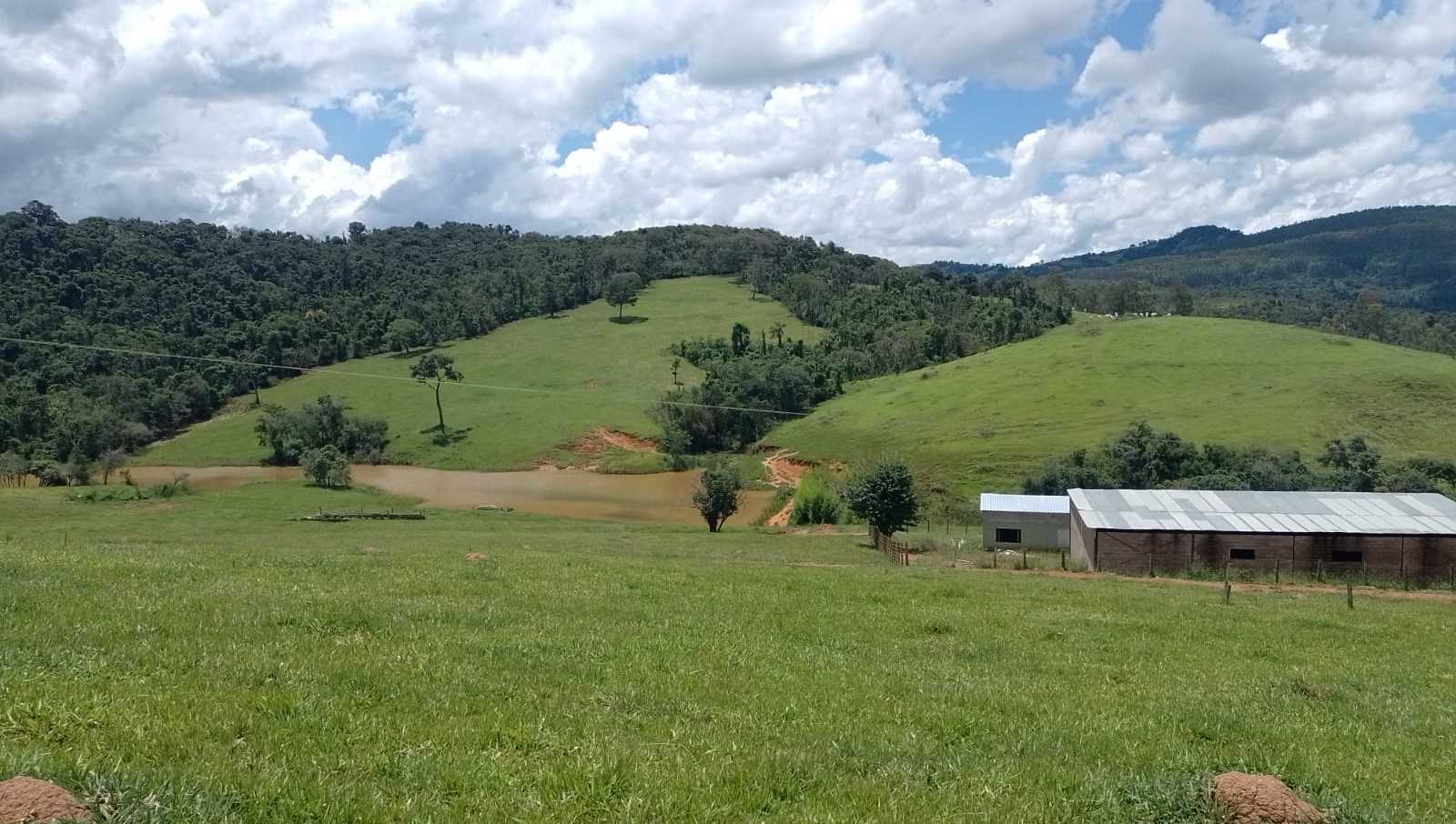 Fazenda, 170 hectares - Foto 21