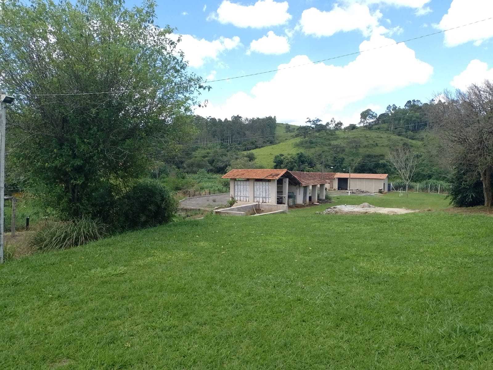 Fazenda, 170 hectares - Foto 4