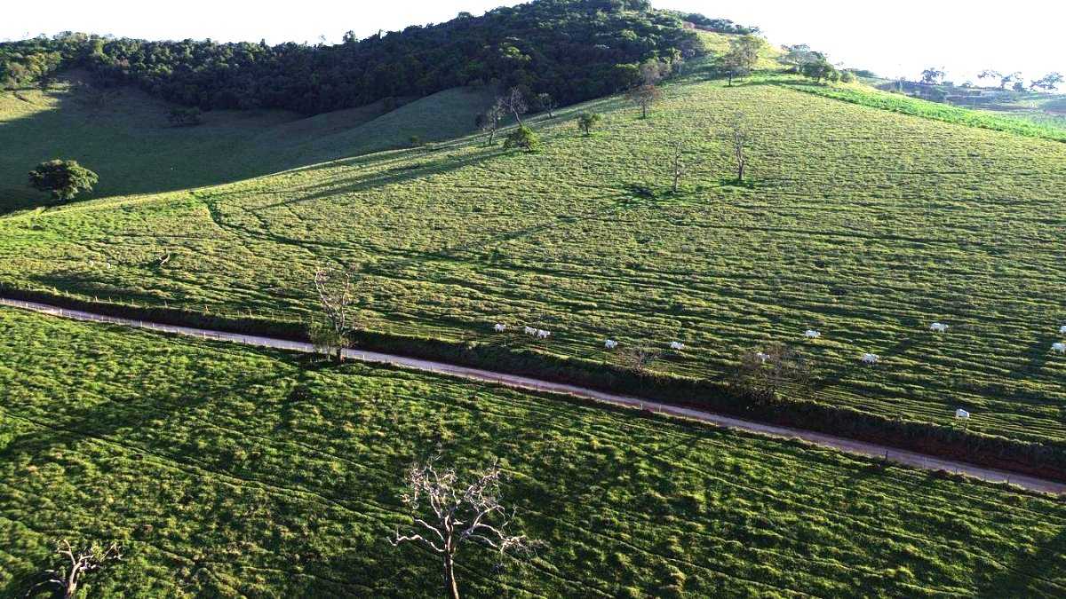 Fazenda, 109 hectares - Foto 16