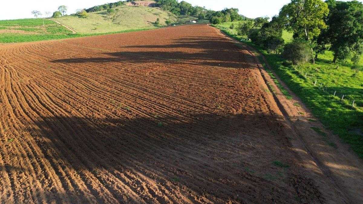 Fazenda, 109 hectares - Foto 15
