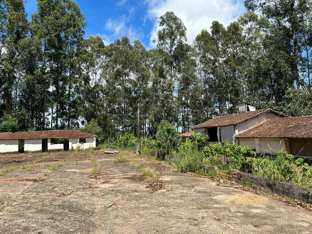 Fazenda, 97 hectares - Foto 12