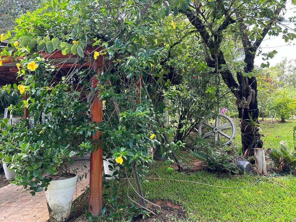 Fazenda, 97 hectares - Foto 13