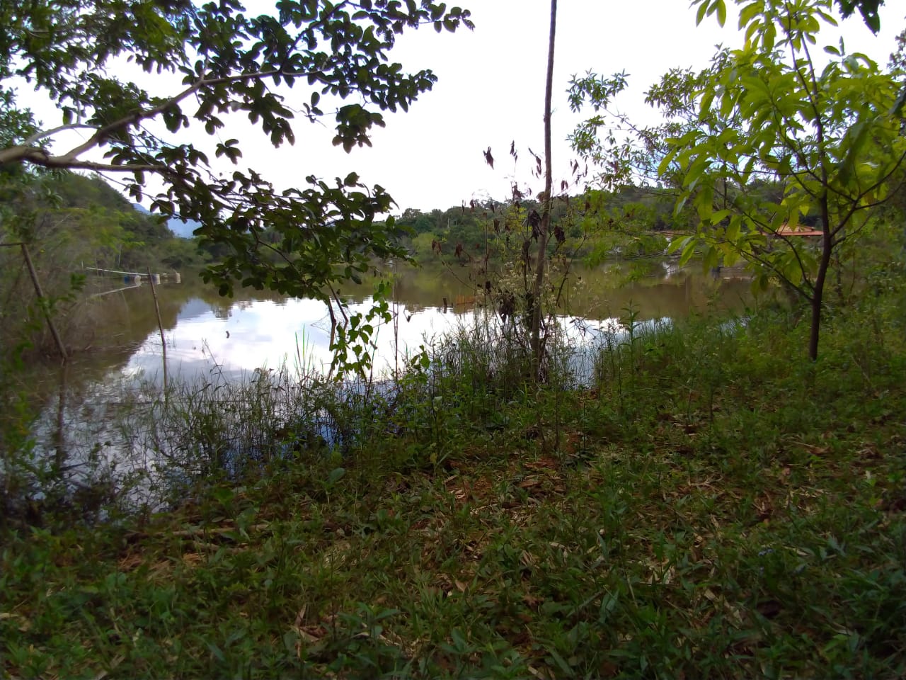 Chácara, 3 quartos, 4500 m² - Foto 5