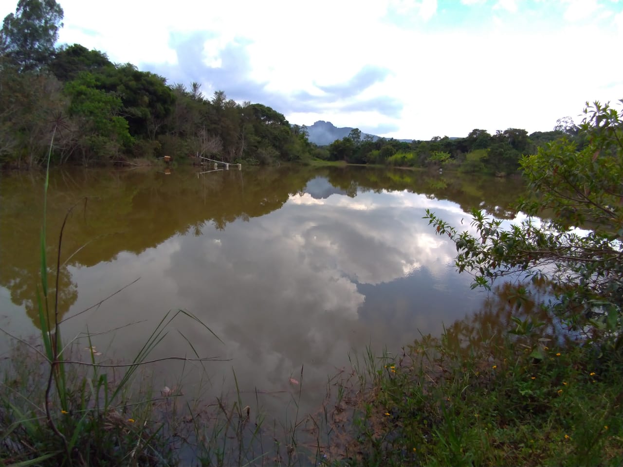 Chácara, 3 quartos, 4500 m² - Foto 1