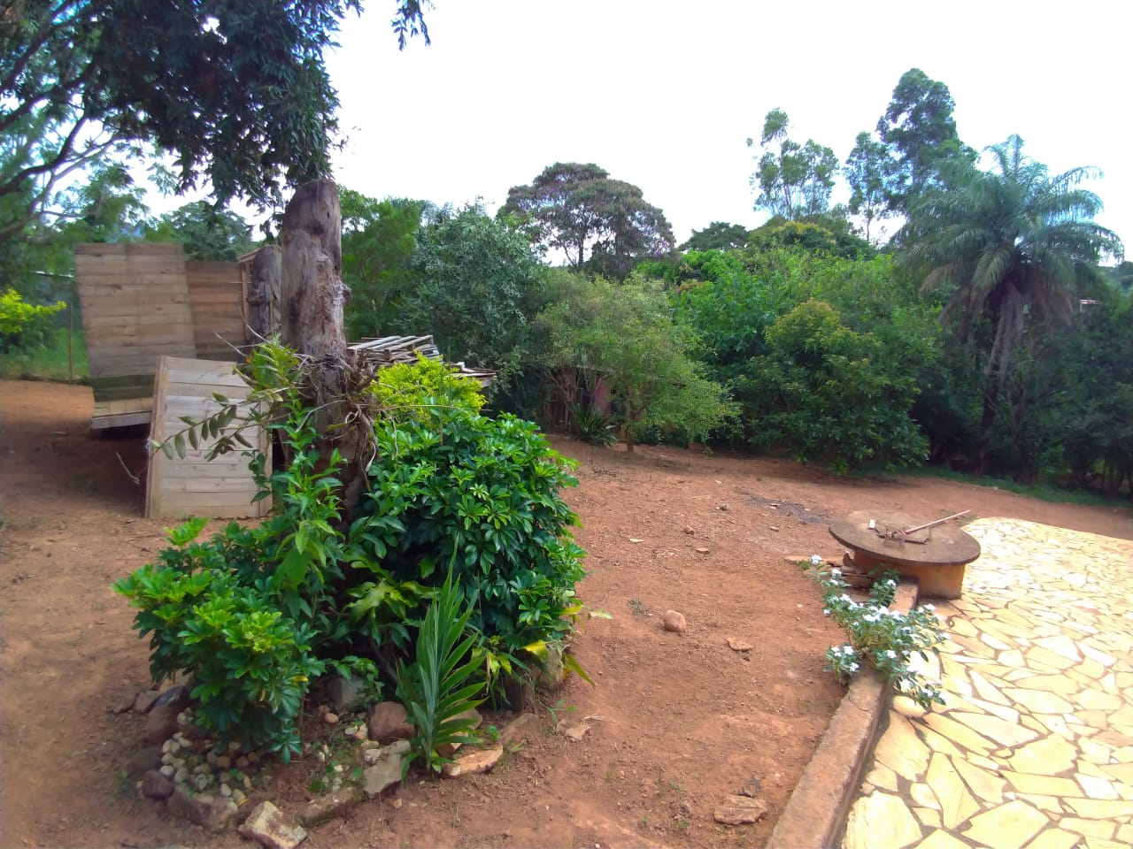 Chácara, 3 quartos, 4500 m² - Foto 13