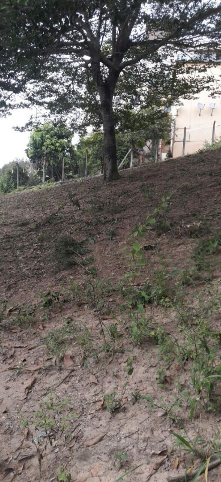 Terreno, 960 m² - Foto 4