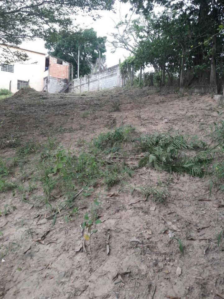 Terreno, 960 m² - Foto 7