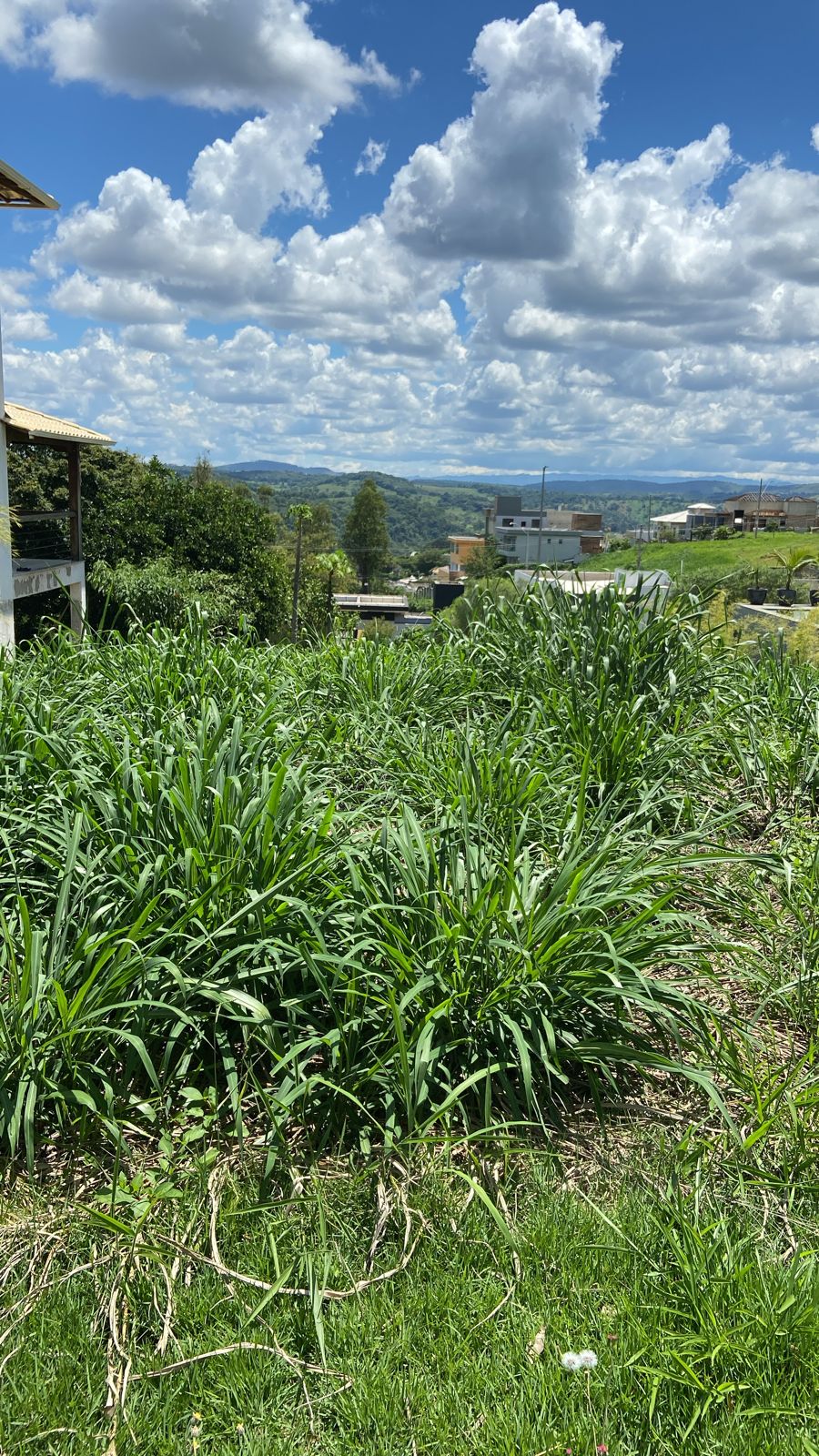 Terreno, 405 m² - Foto 3