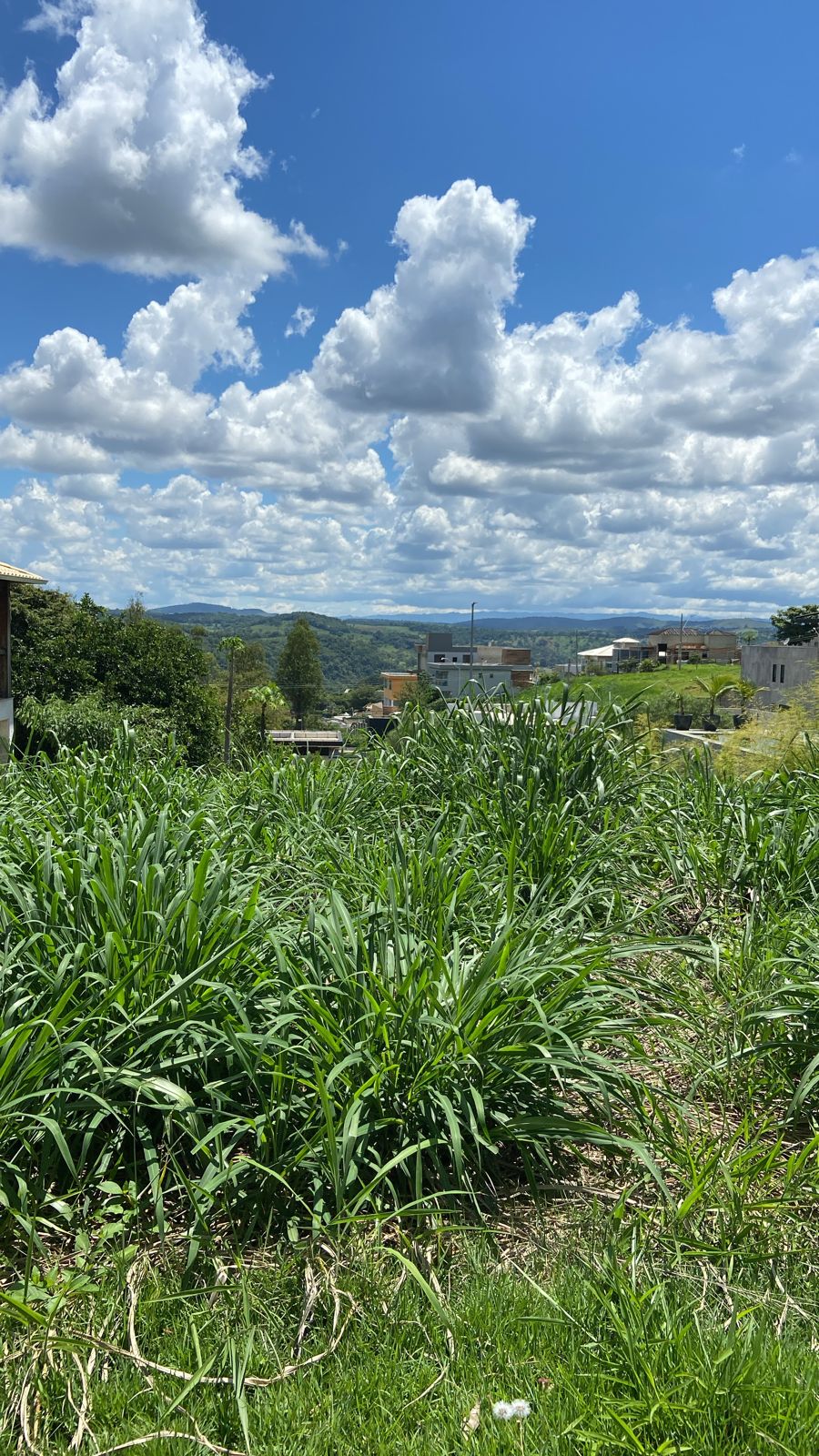 Terreno, 405 m² - Foto 4