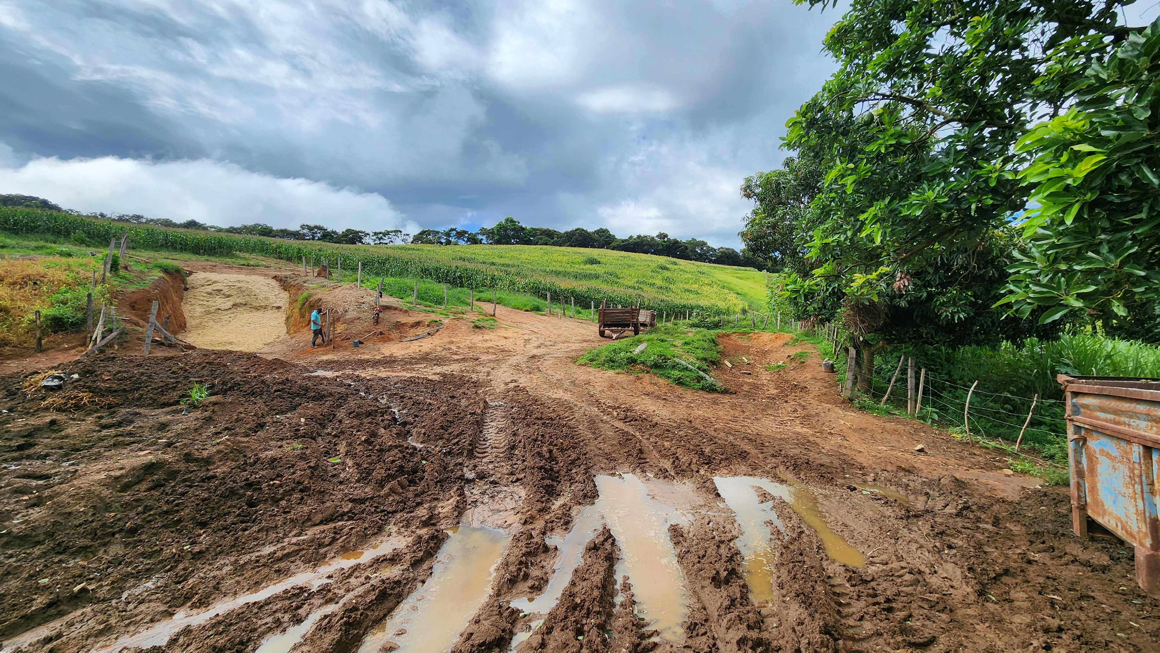 Fazenda, 78 hectares - Foto 11