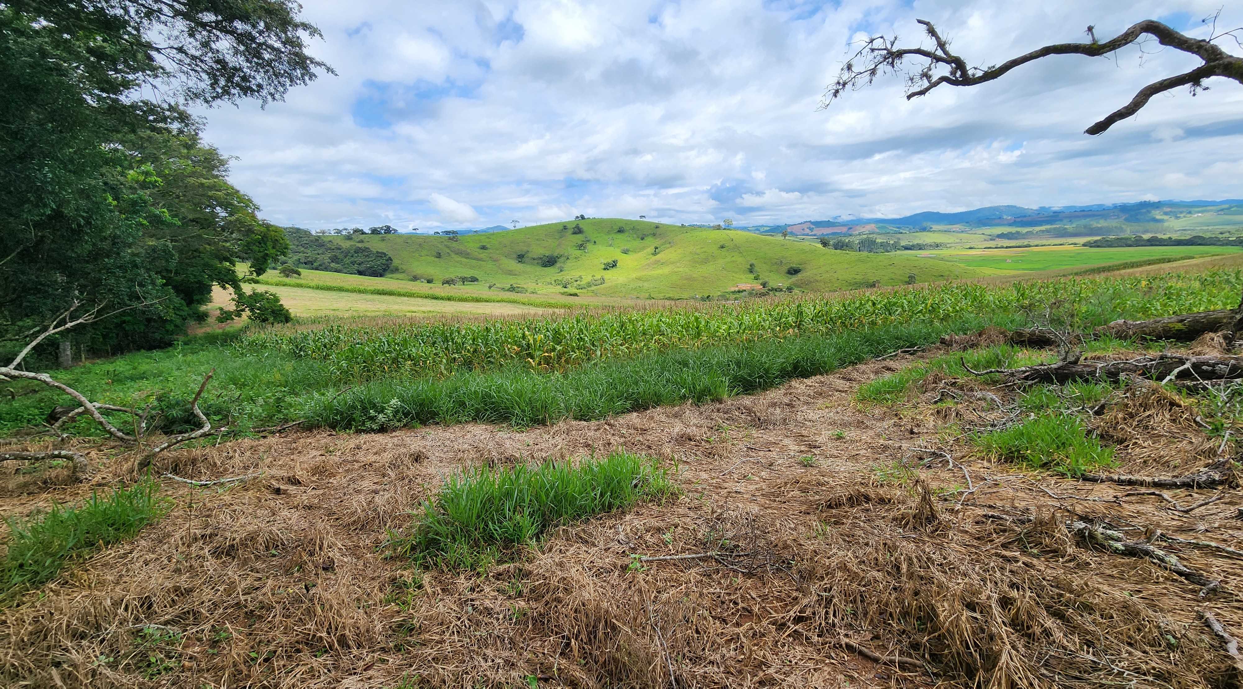 Fazenda, 78 hectares - Foto 22