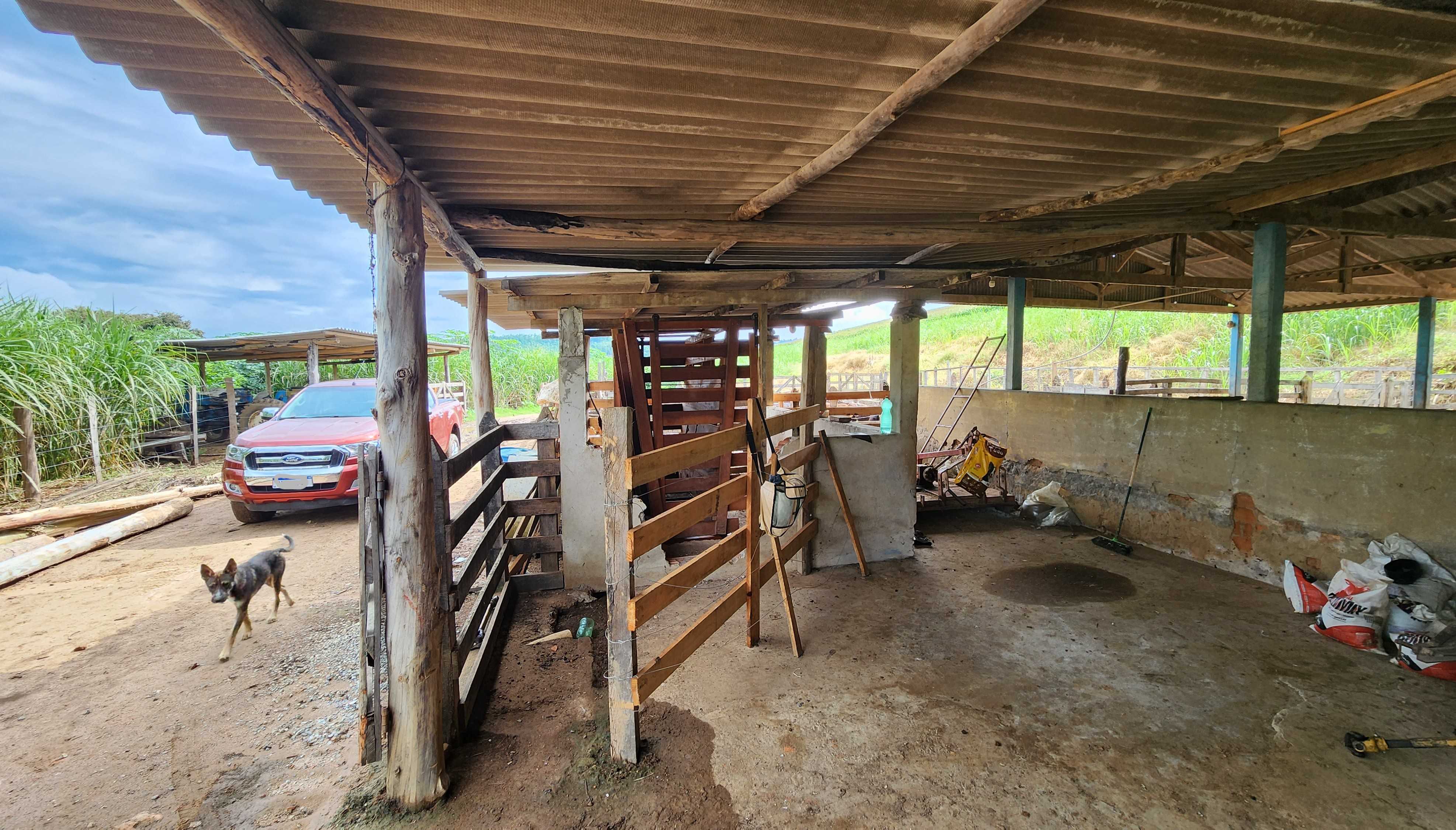 Fazenda, 78 hectares - Foto 6