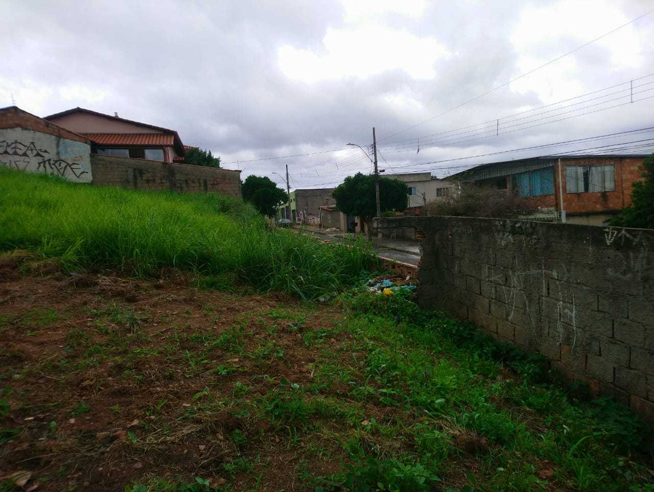 Terreno, 360 m² - Foto 4