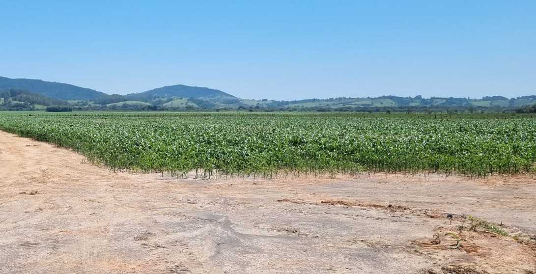 Fazenda-Sítio-Chácara, 201 hectares - Foto 6