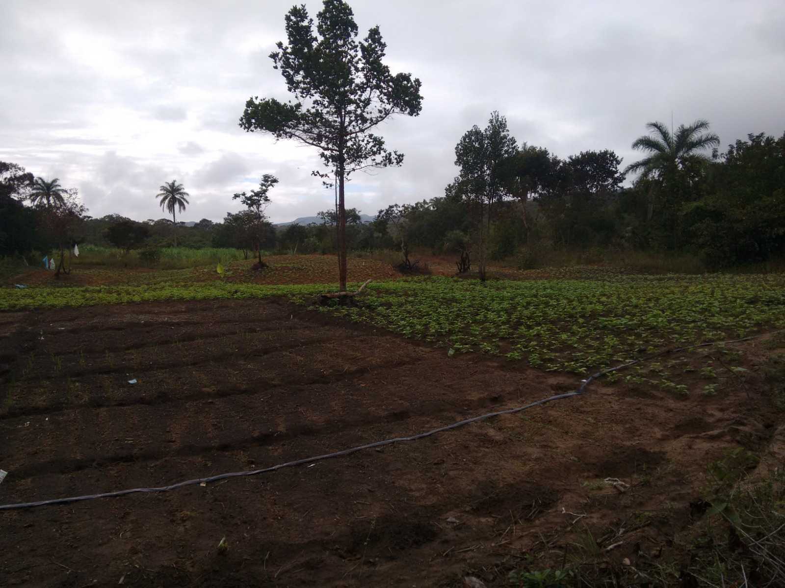 Fazenda, 130 m² - Foto 4