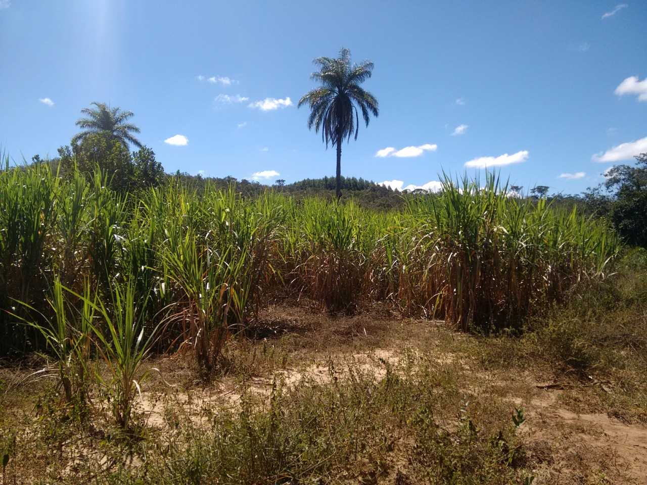 Fazenda, 130 m² - Foto 6