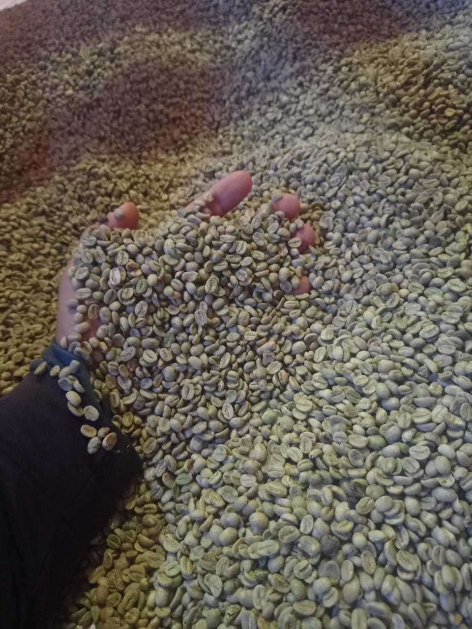 Fazenda, 136 hectares - Foto 19