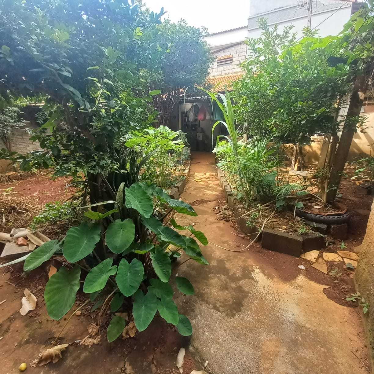 Depósito-Galpão - Foto 13