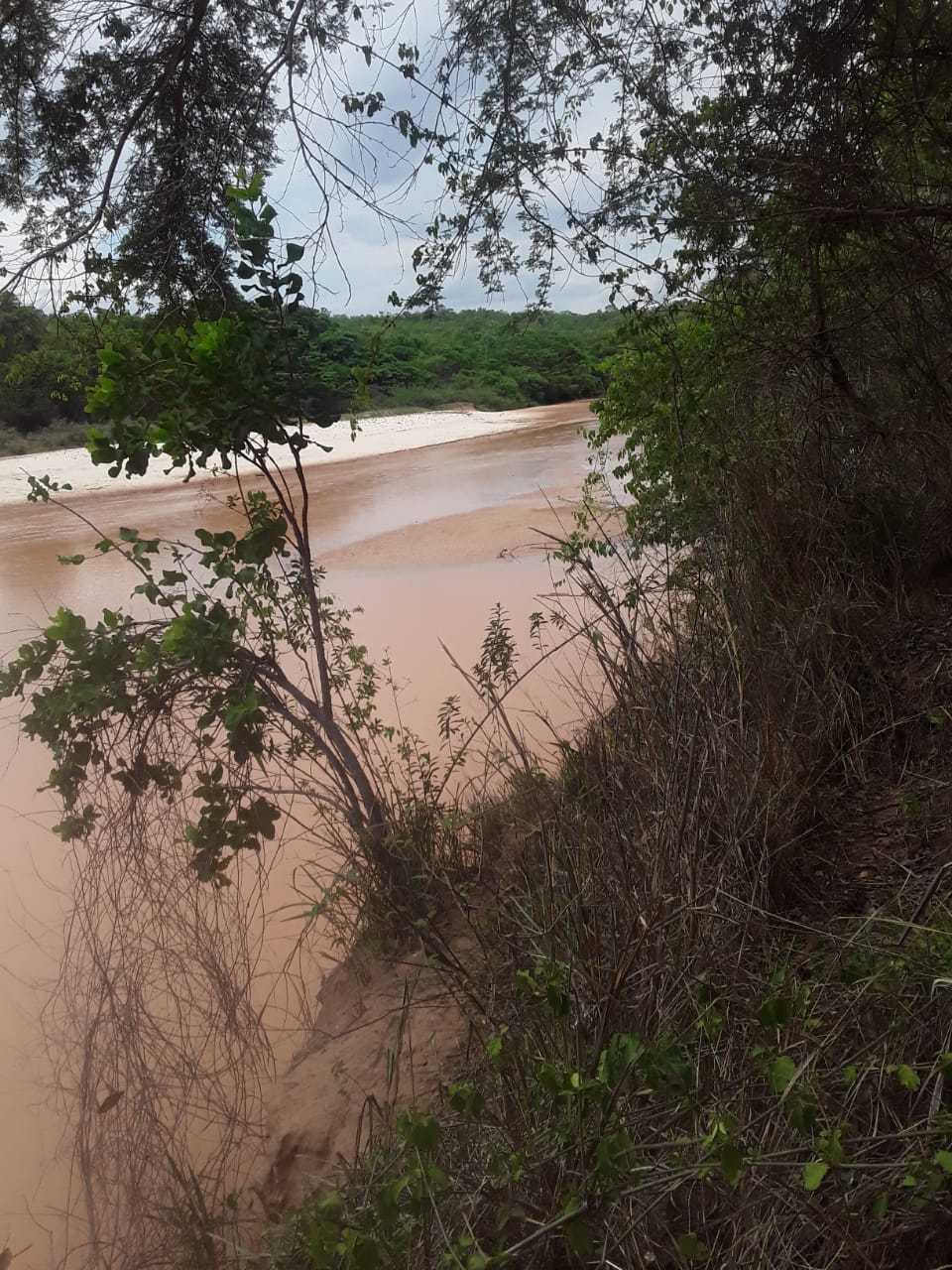 Fazenda, 1471 hectares - Foto 1
