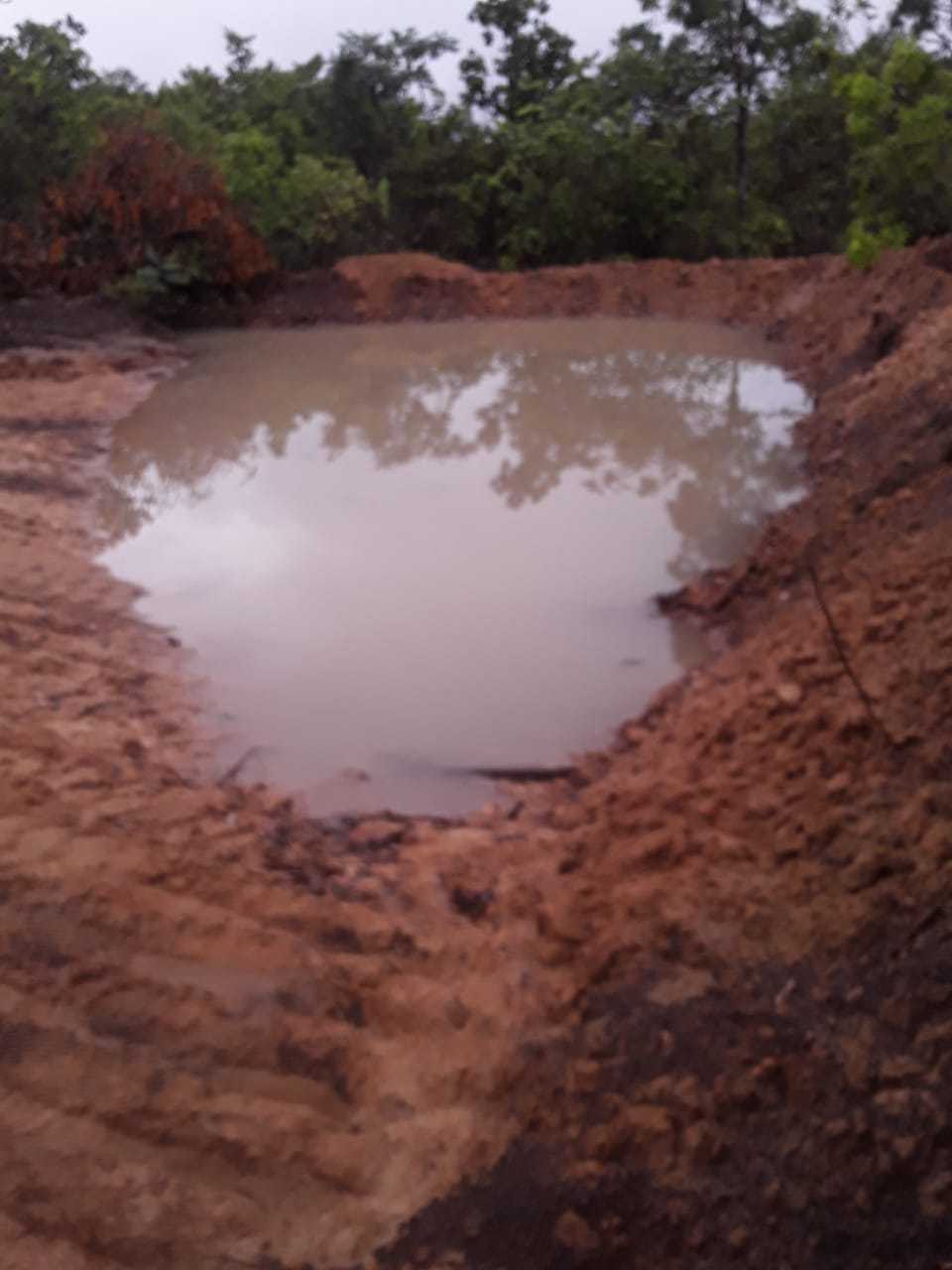 Fazenda, 1471 hectares - Foto 3