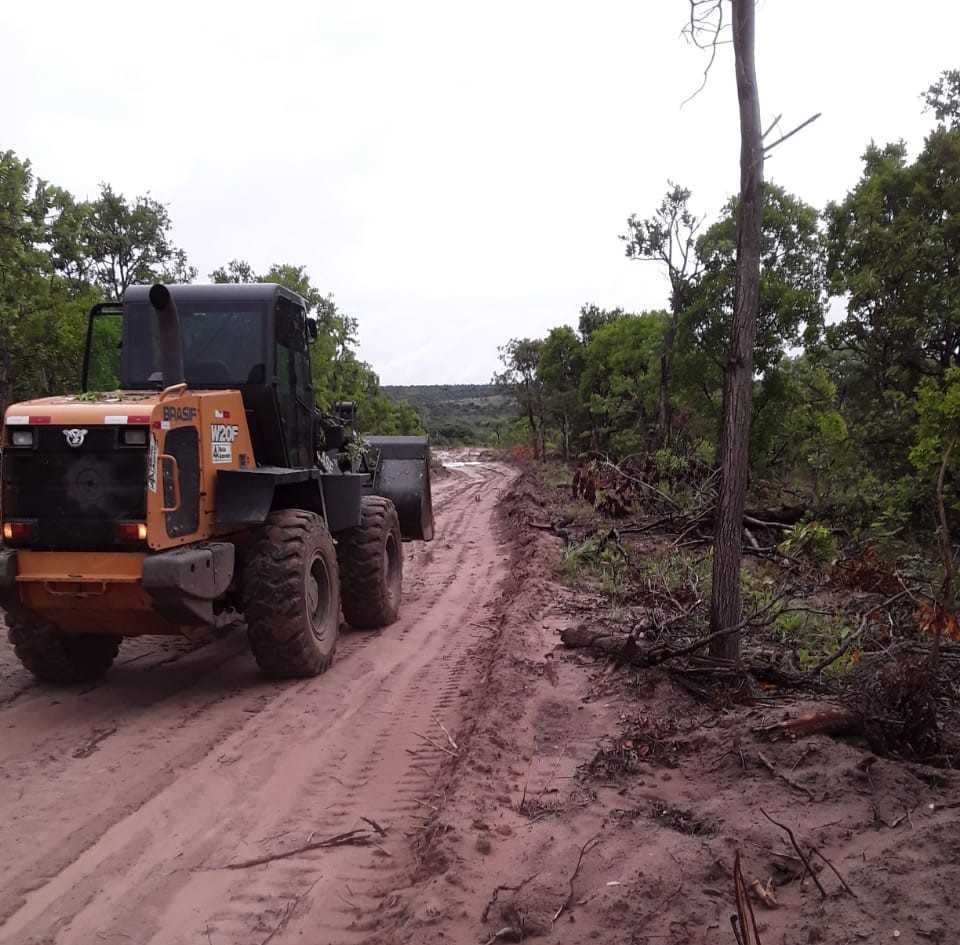 Fazenda, 1471 hectares - Foto 5