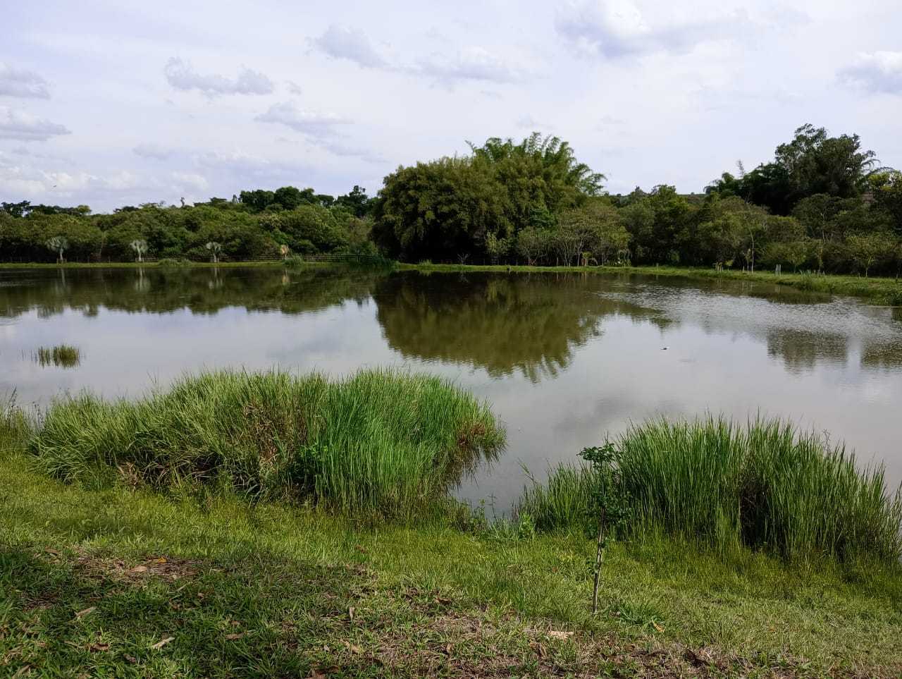 Sítio, 1 quarto, 29 hectares - Foto 8