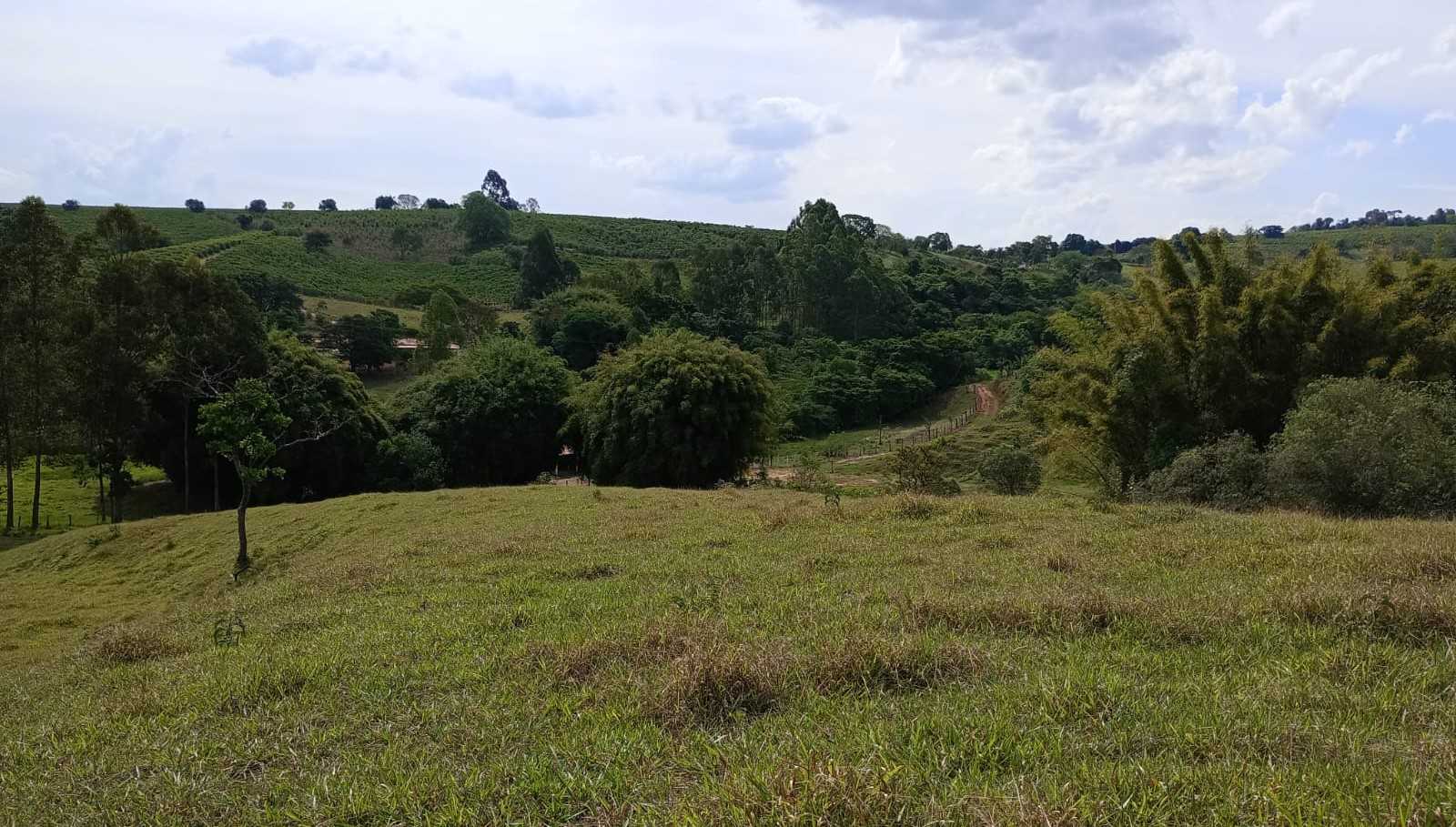 Sítio, 1 quarto, 29 hectares - Foto 24