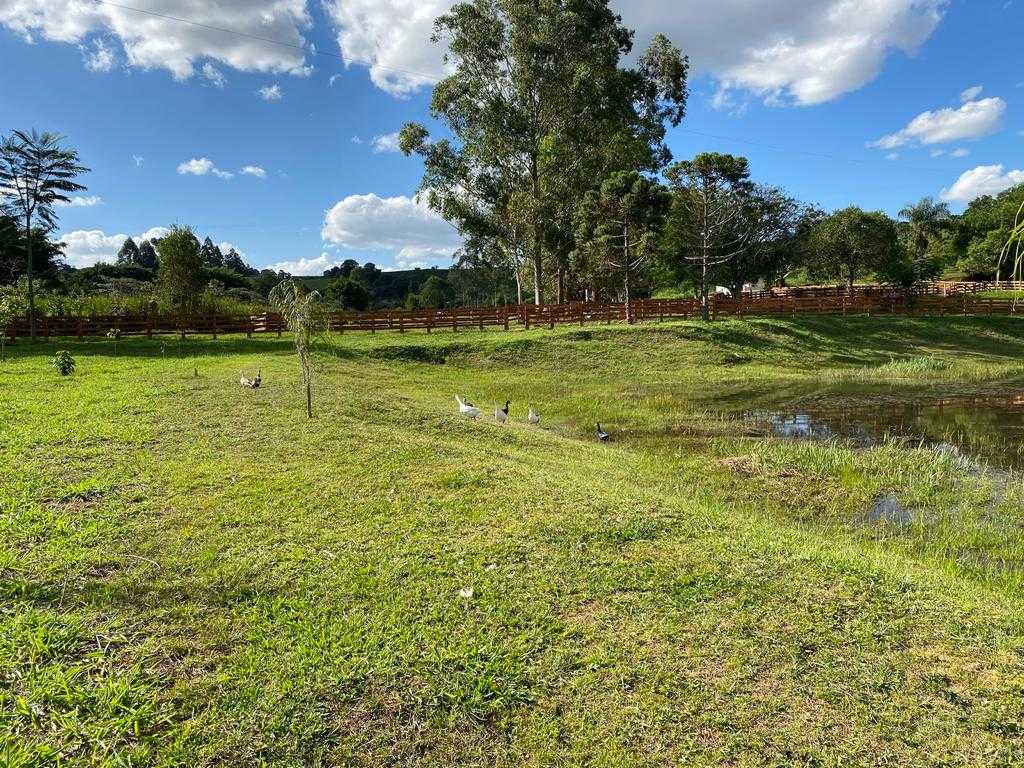 Sítio, 1 quarto, 29 hectares - Foto 6