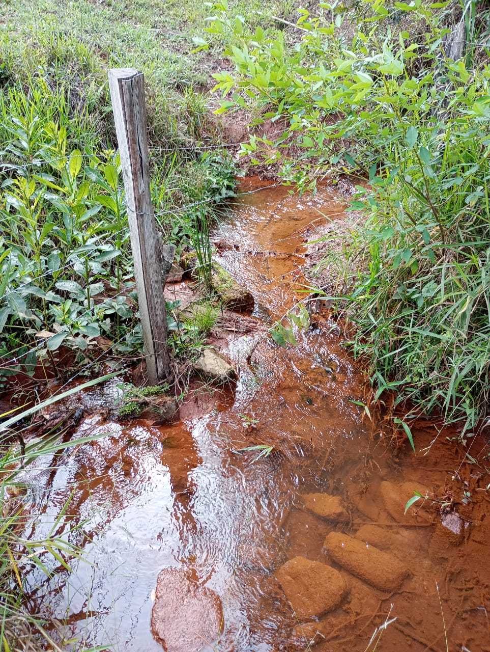 Sítio, 1 quarto, 29 hectares - Foto 7