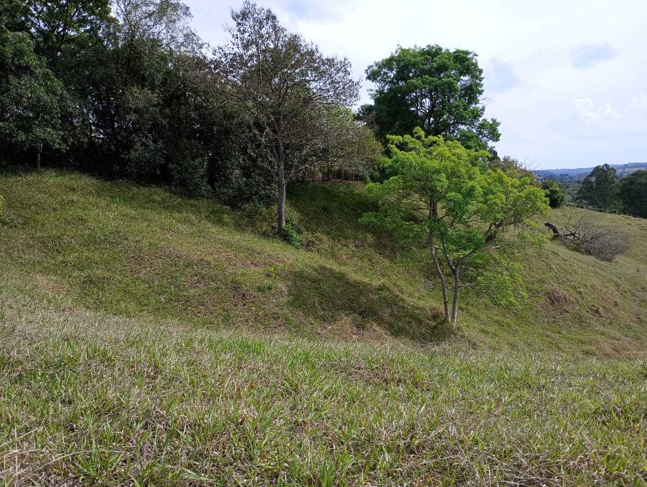 Sítio, 1 quarto, 29 hectares - Foto 25