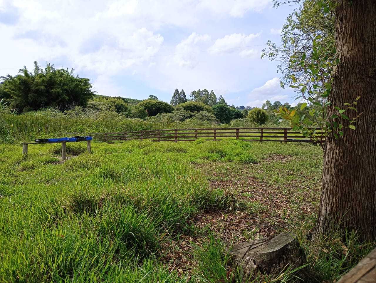 Sítio, 1 quarto, 29 hectares - Foto 14