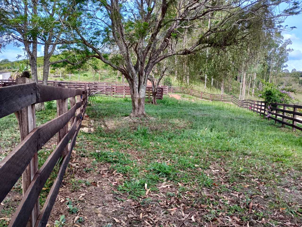 Sítio, 1 quarto, 29 hectares - Foto 10