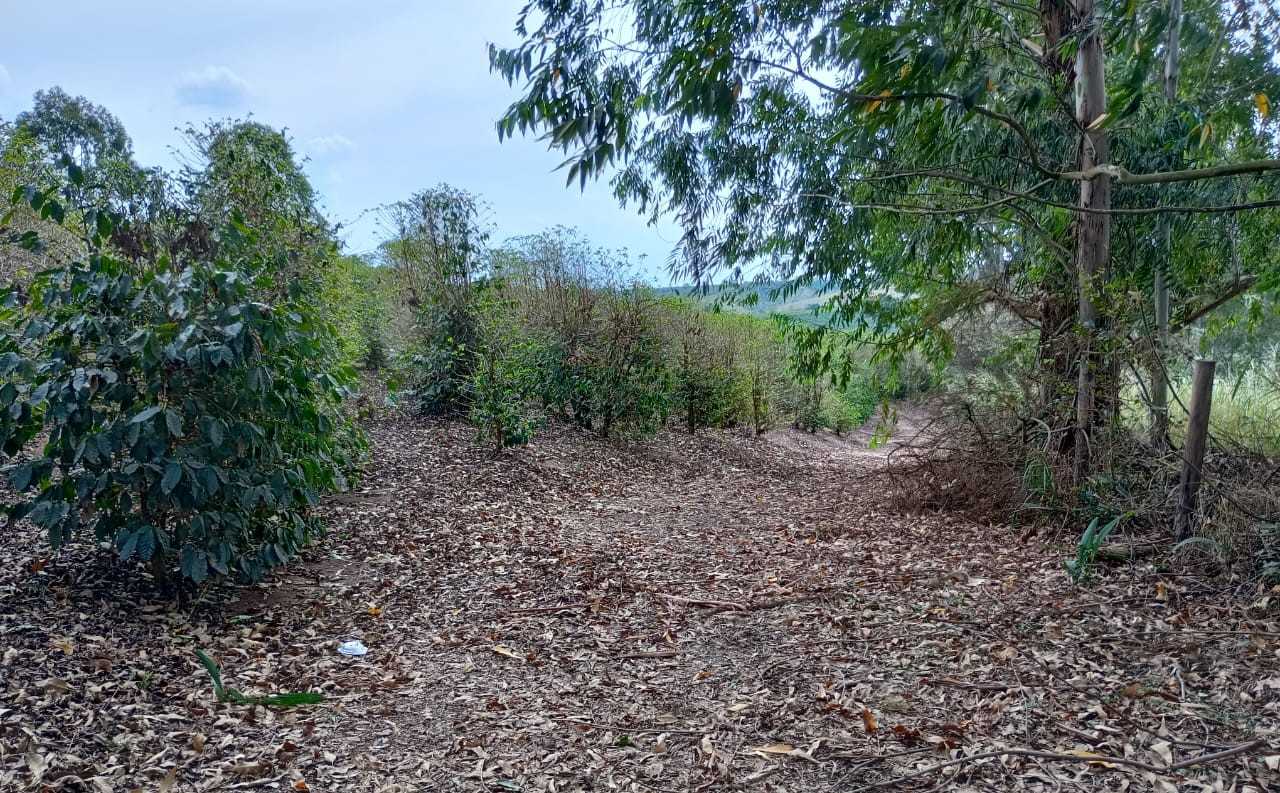 Sítio, 1 quarto, 29 hectares - Foto 15