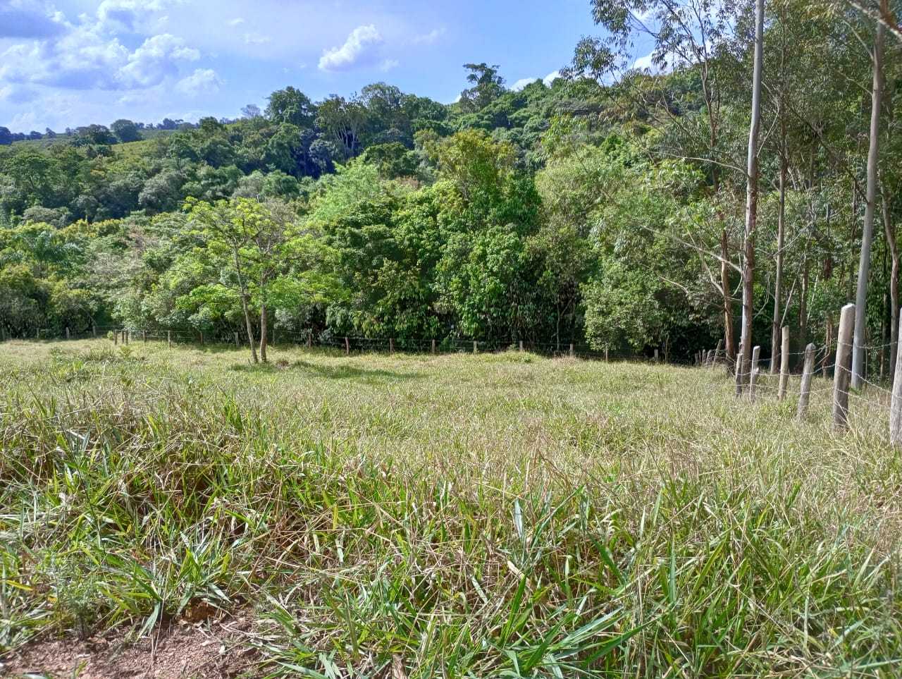 Sítio, 1 quarto, 29 hectares - Foto 22